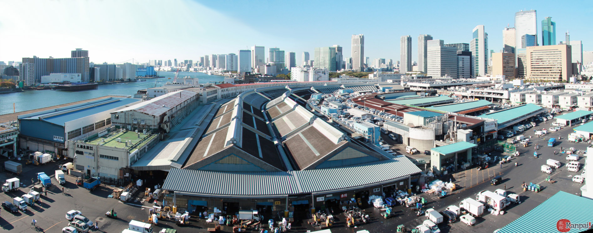 Ginza et le marché au poisson de Tsukiji