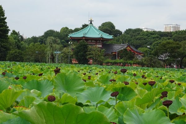 Parc Ueno et le vieux quartier de Yanaka